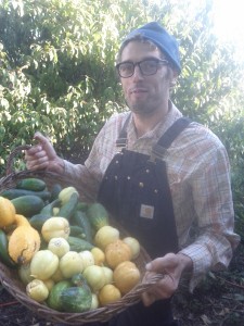 Jeff surprised and delighted with cucumber harvest , they keep going!